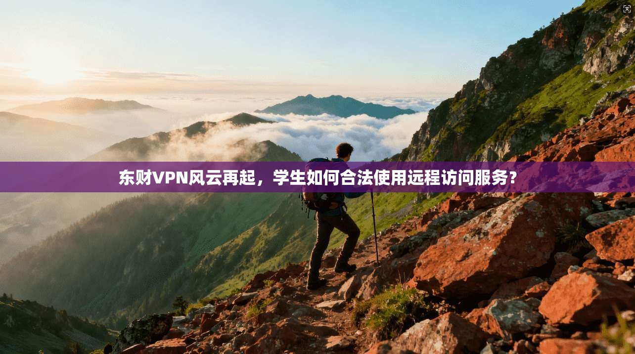 东财VPN风云再起,学生如何合法使用远程访问服务?