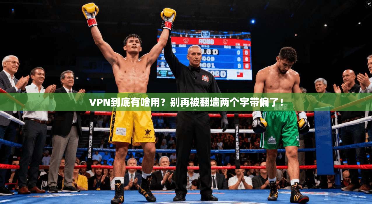 VPN到底有啥用?别再被翻墙两个字带偏了!