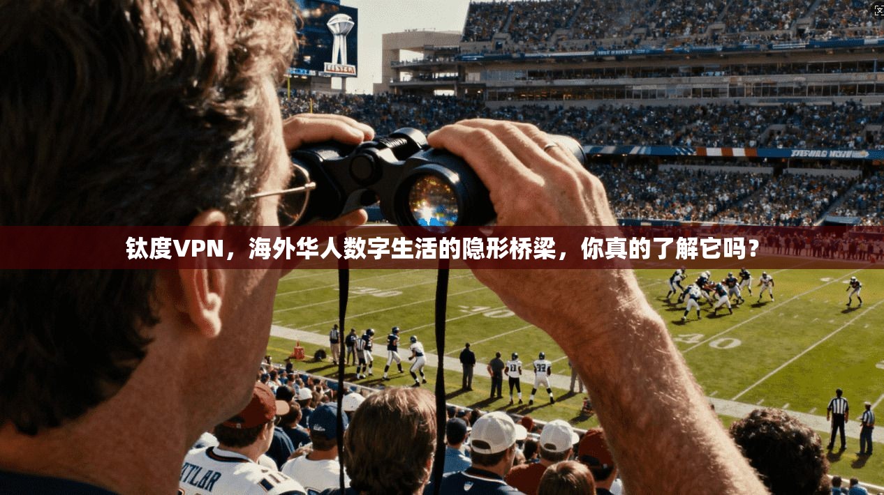 钛度VPN，海外华人数字生活的隐形桥梁，你真的了解它吗？