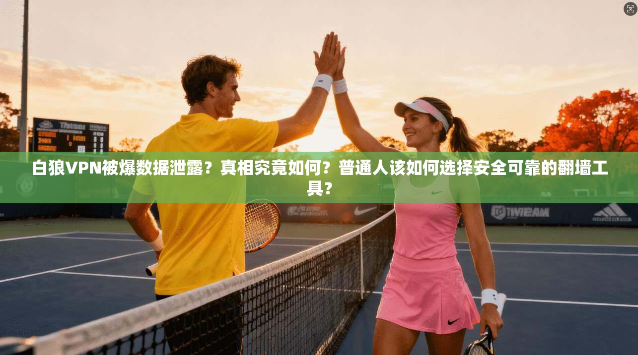 白狼VPN被爆数据泄露？真相究竟如何？普通人该如何选择安全可靠的翻墙工具？