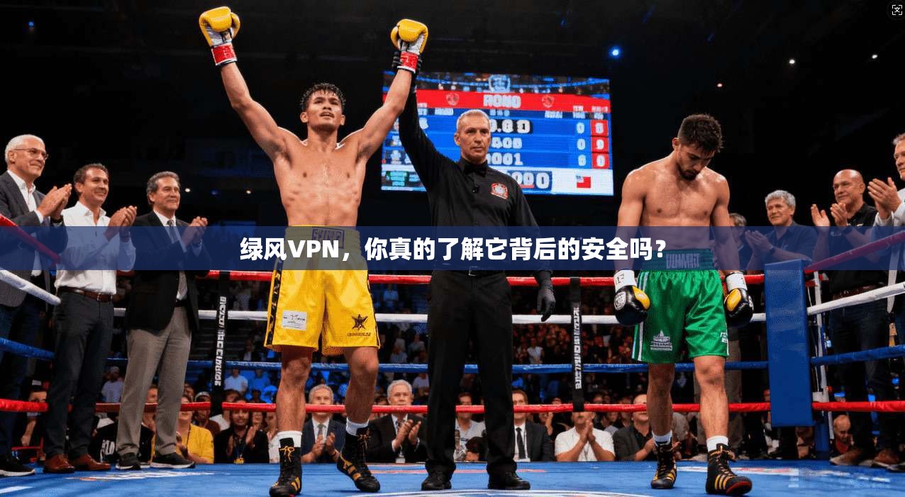 绿风VPN，你真的了解它背后的安全吗？
