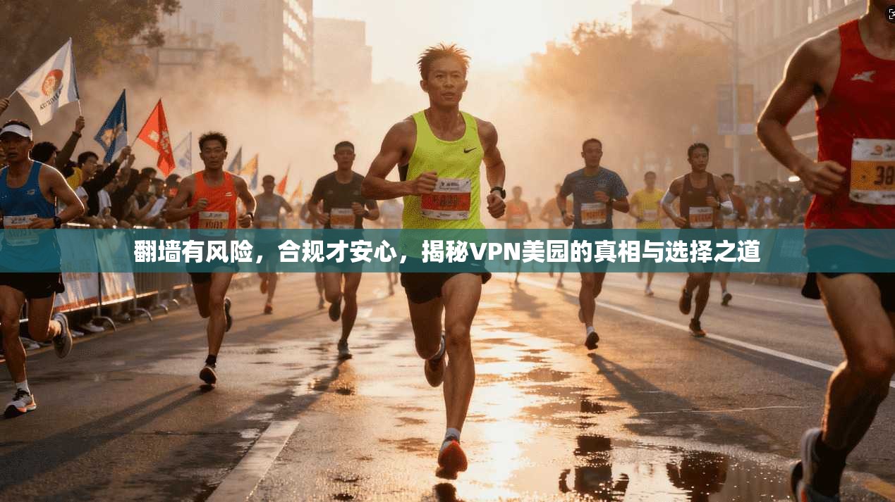 翻墙有风险，合规才安心，揭秘VPN美园的真相与选择之道