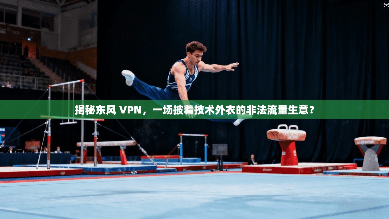 揭秘东风 VPN，一场披着技术外衣的非法流量生意？