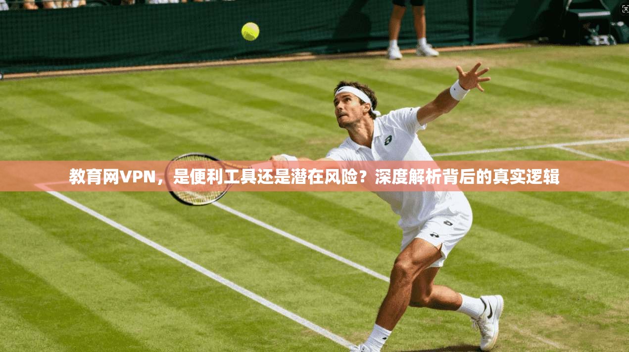教育网VPN，是便利工具还是潜在风险？深度解析背后的真实逻辑
