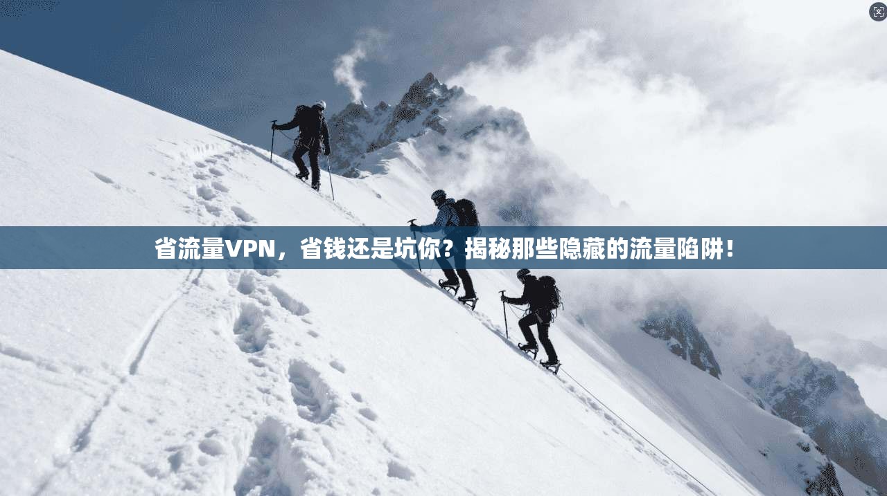 省流量VPN，省钱还是坑你？揭秘那些隐藏的流量陷阱！