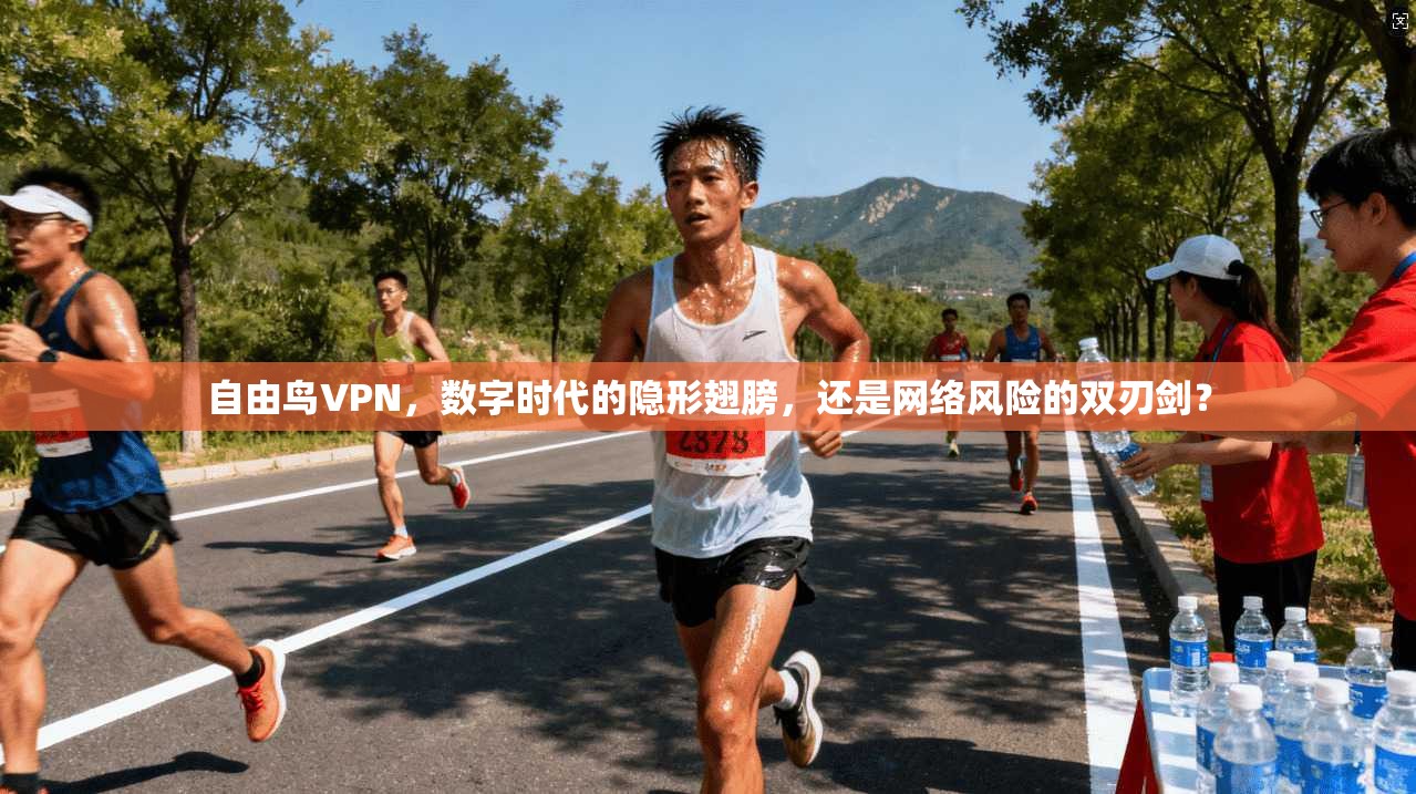 自由鸟VPN，数字时代的隐形翅膀，还是网络风险的双刃剑？