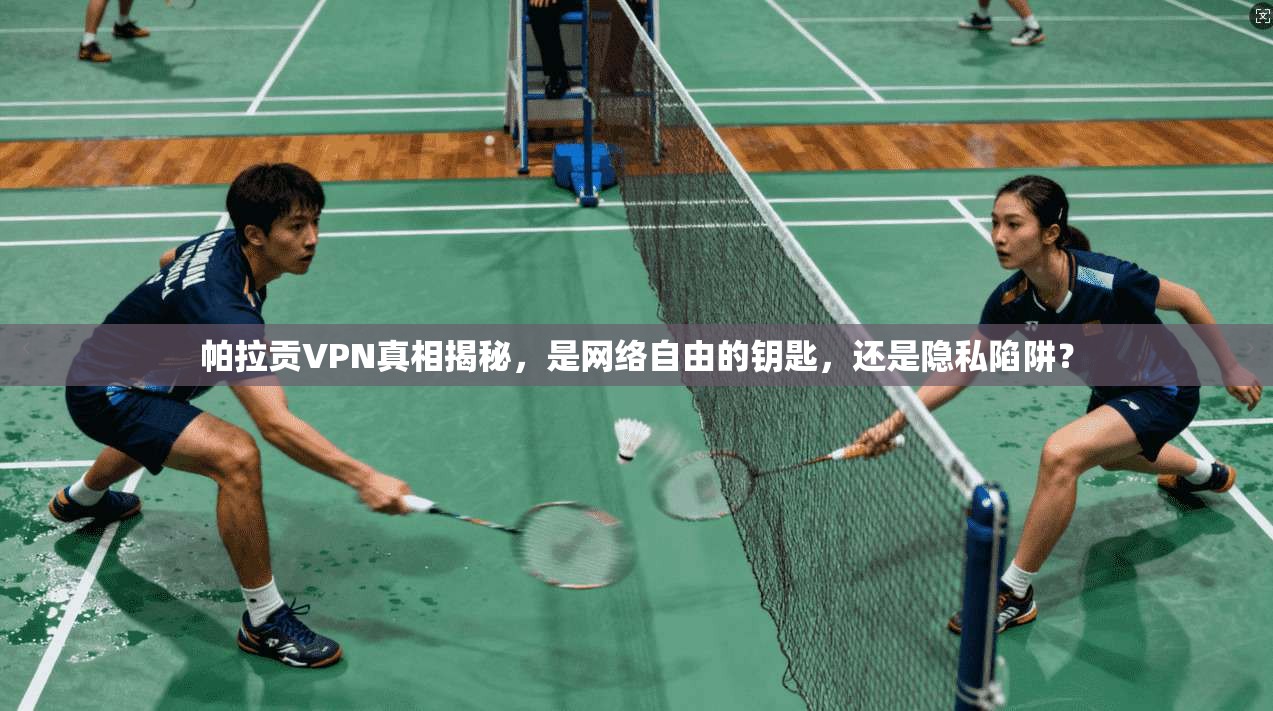 帕拉贡VPN真相揭秘，是网络自由的钥匙，还是隐私陷阱？