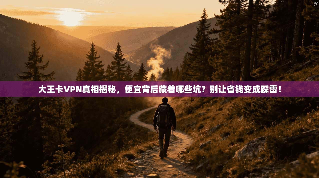 大王卡VPN真相揭秘，便宜背后藏着哪些坑？别让省钱变成踩雷！