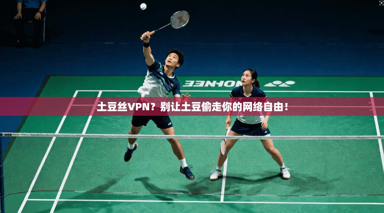 土豆丝VPN？别让土豆偷走你的网络自由！