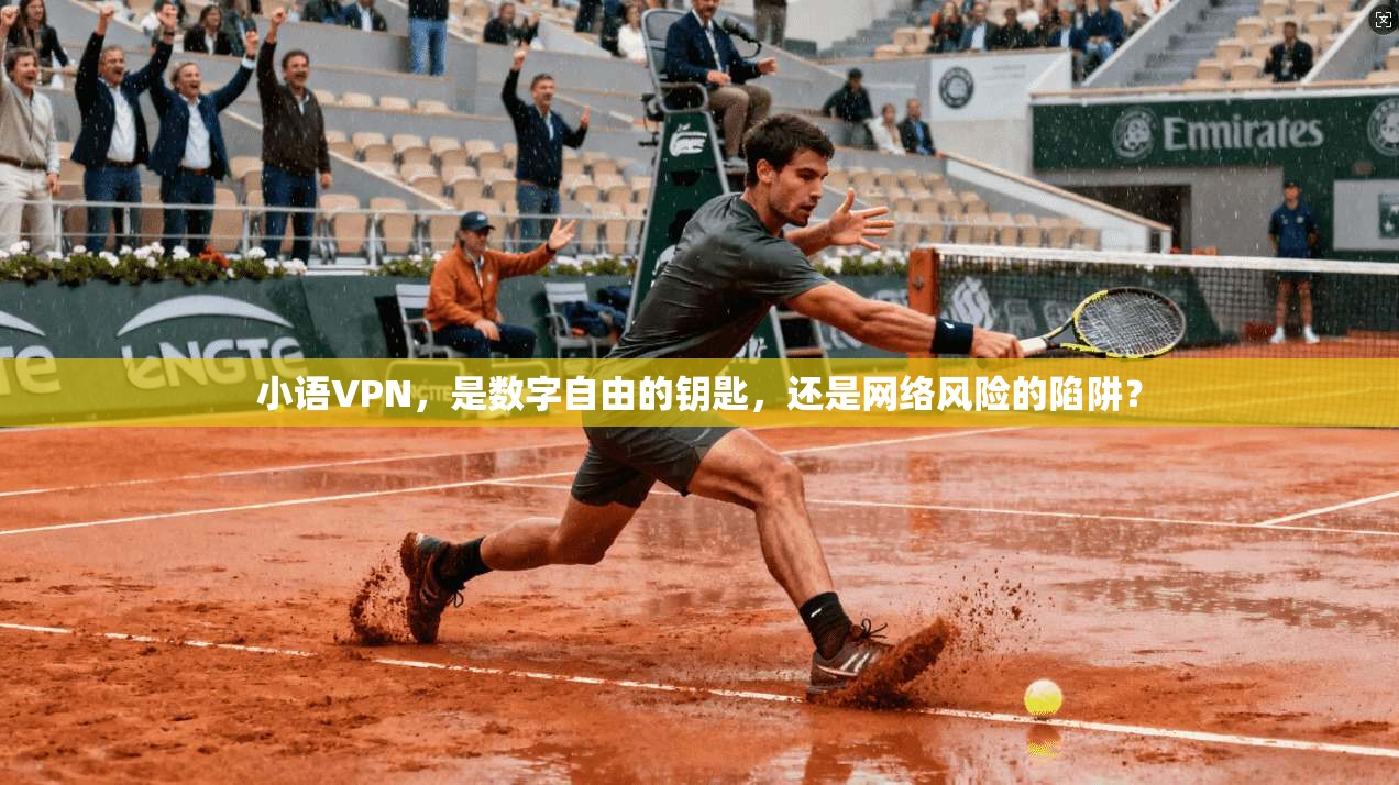 小语VPN，是数字自由的钥匙，还是网络风险的陷阱？