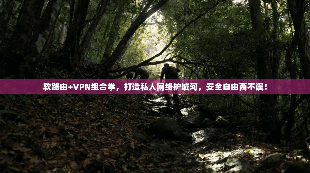 软路由+VPN组合拳，打造私人网络护城河，安全自由两不误！