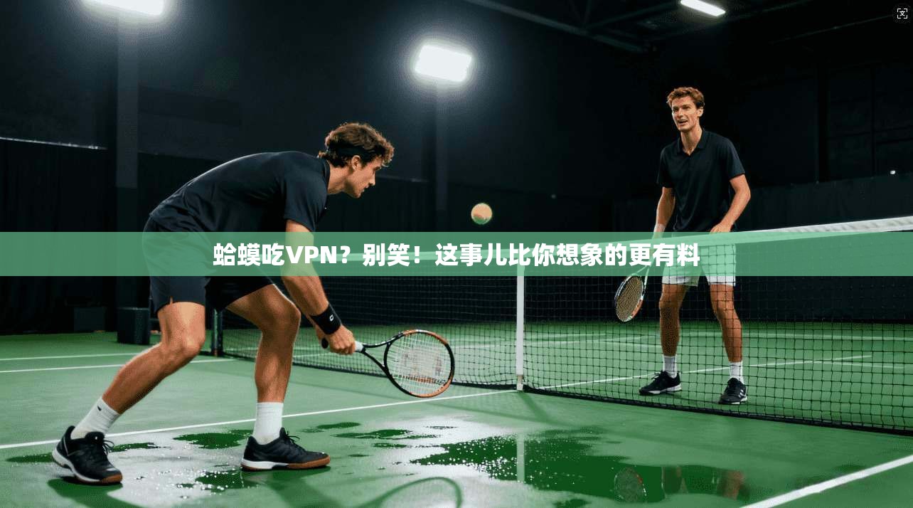 蛤蟆吃VPN？别笑！这事儿比你想象的更有料
