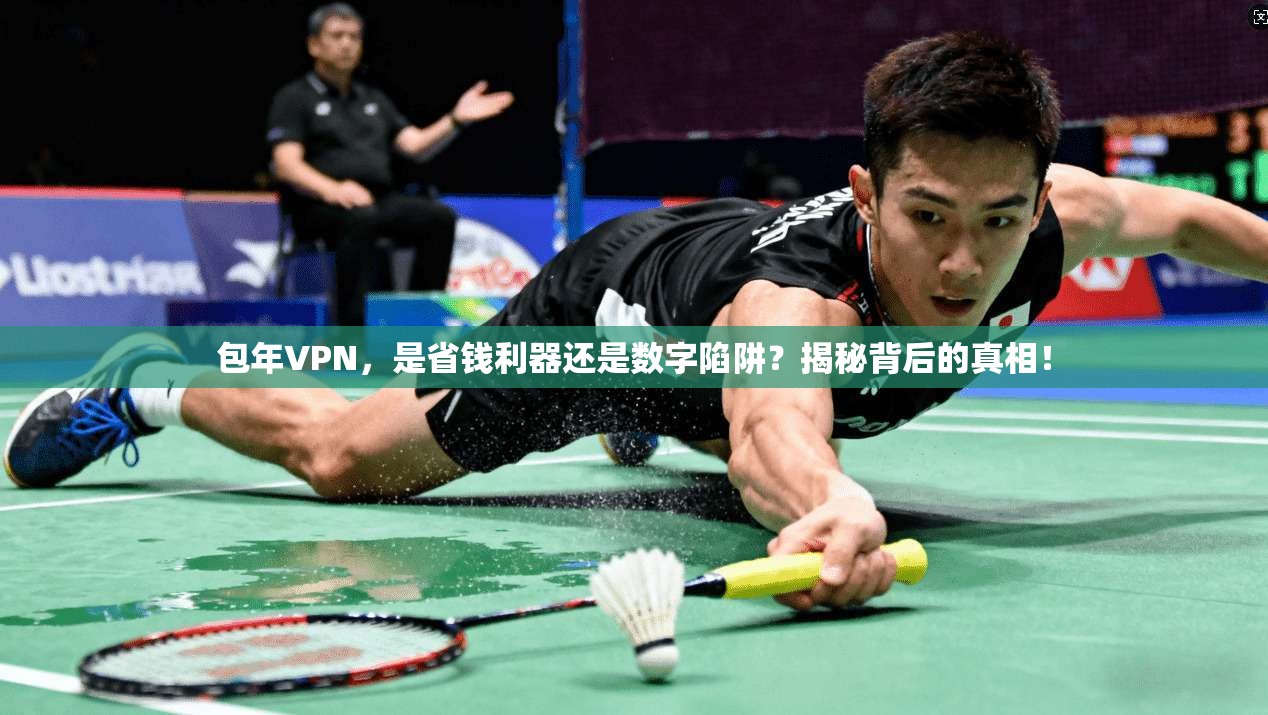 包年VPN，是省钱利器还是数字陷阱？揭秘背后的真相！