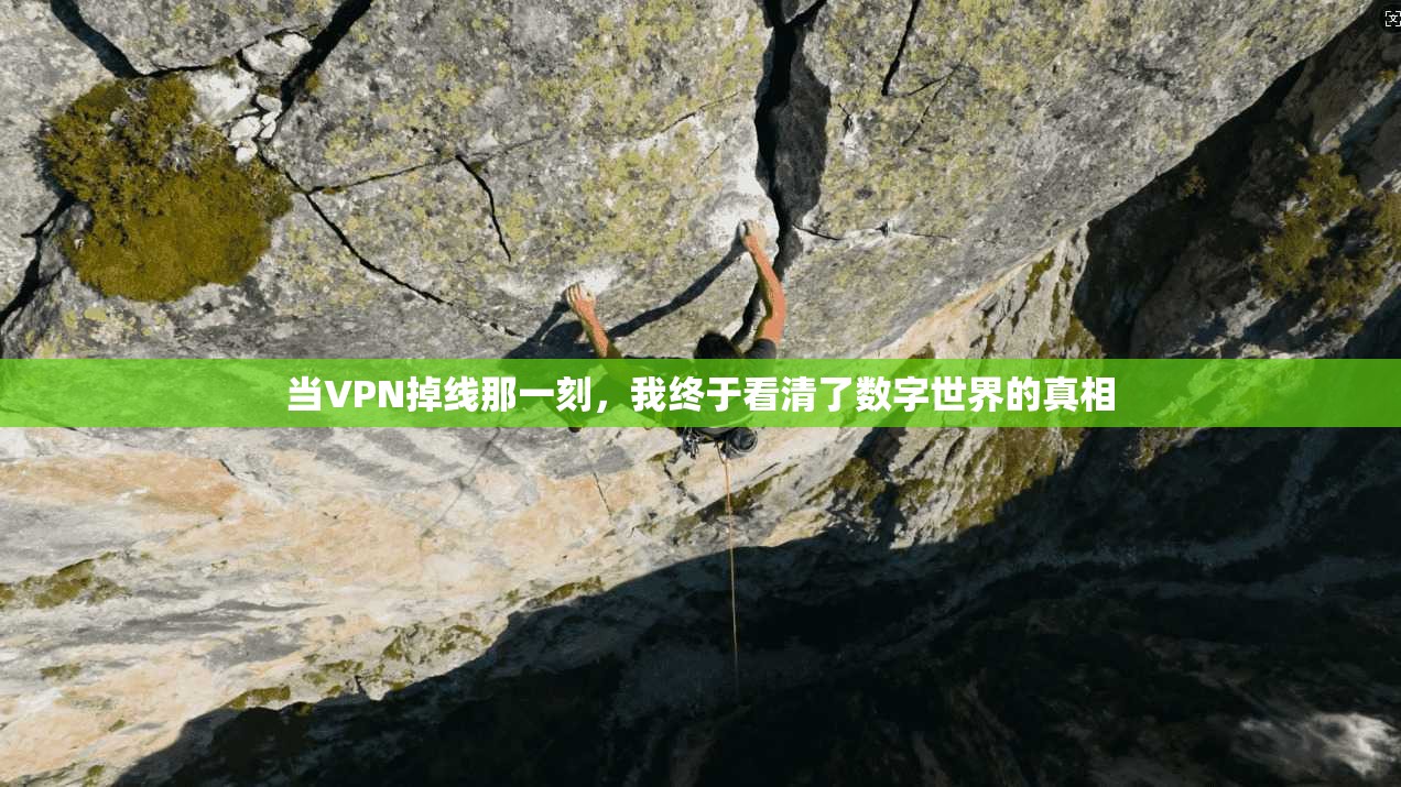 当VPN掉线那一刻，我终于看清了数字世界的真相