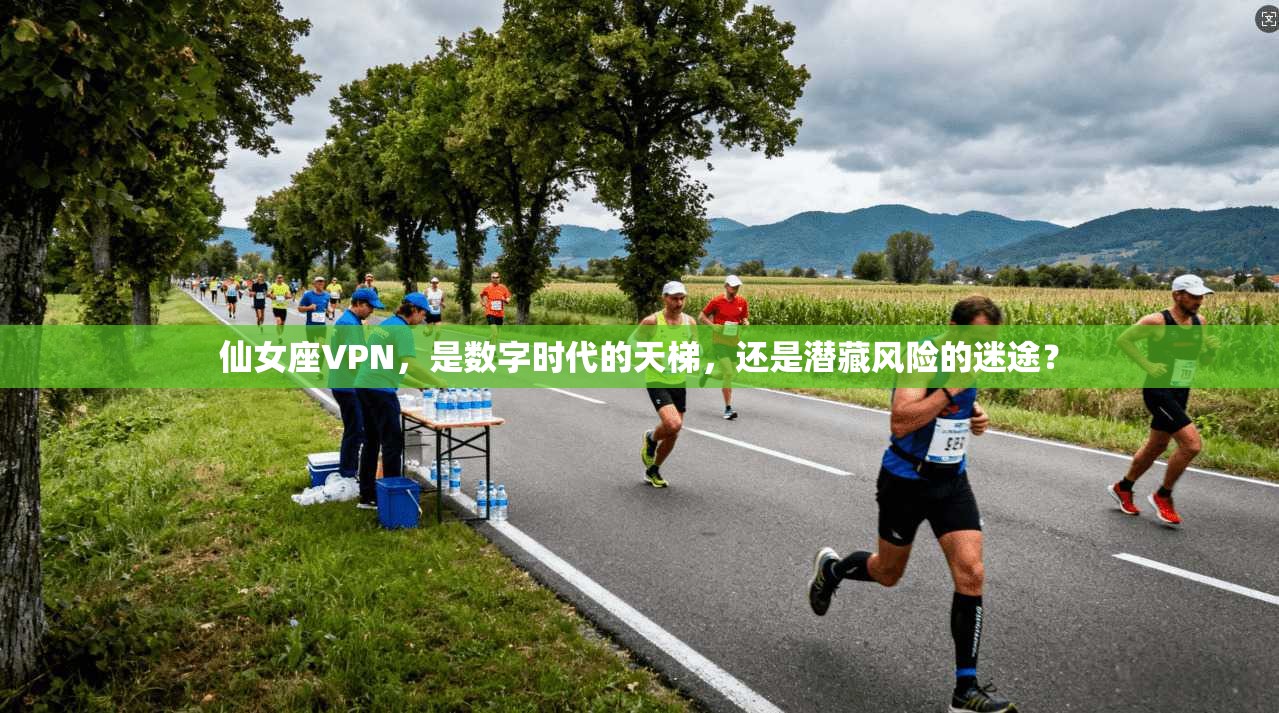 仙女座VPN，是数字时代的天梯，还是潜藏风险的迷途？