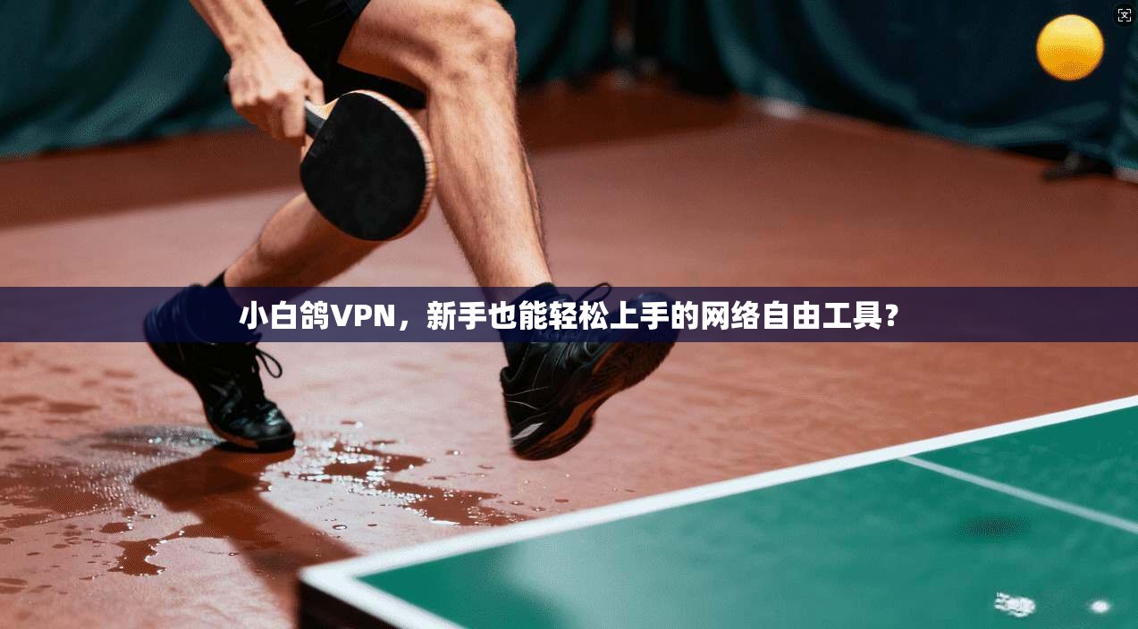 小白鸽VPN，新手也能轻松上手的网络自由工具？