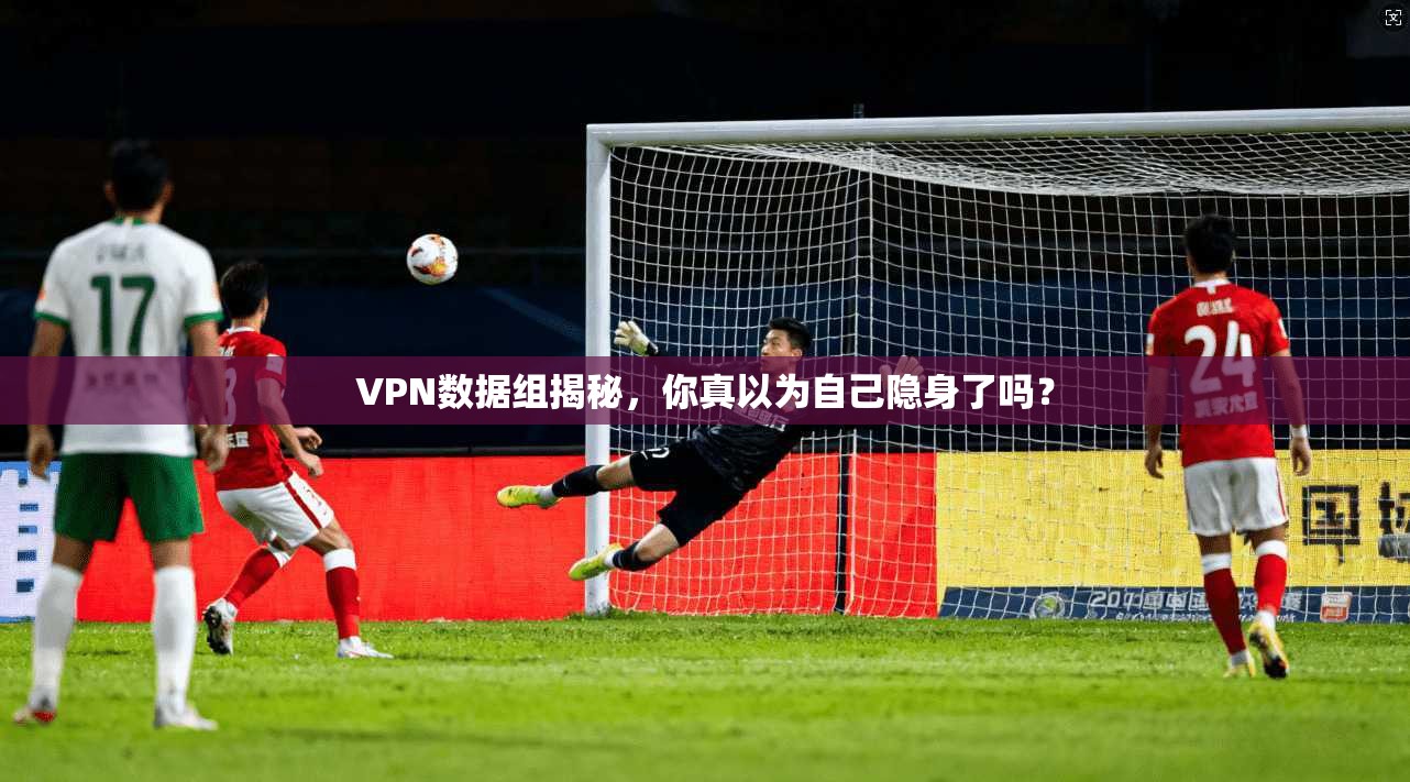 VPN数据组揭秘,你真以为自己隐身了吗? VPN数据组揭秘,你真以为自己隐身了吗?