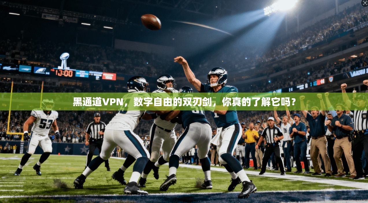 黑通道VPN，数字自由的双刃剑，你真的了解它吗？