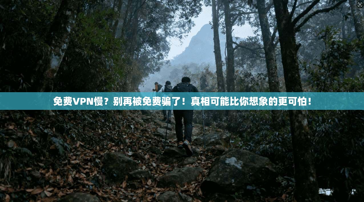 免费VPN慢?别再被免费骗了!真相可能比你想象的更可怕! 免费VPN慢?别再被免费骗了!真相可能比你想象的更可怕!