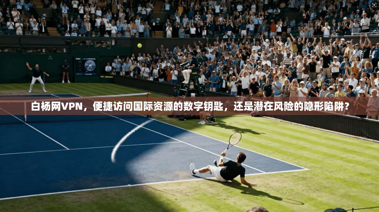 白杨网VPN，便捷访问国际资源的数字钥匙，还是潜在风险的隐形陷阱？