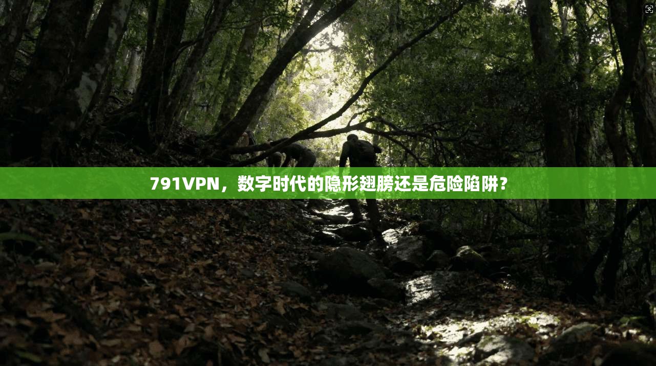 791VPN，数字时代的隐形翅膀还是危险陷阱？