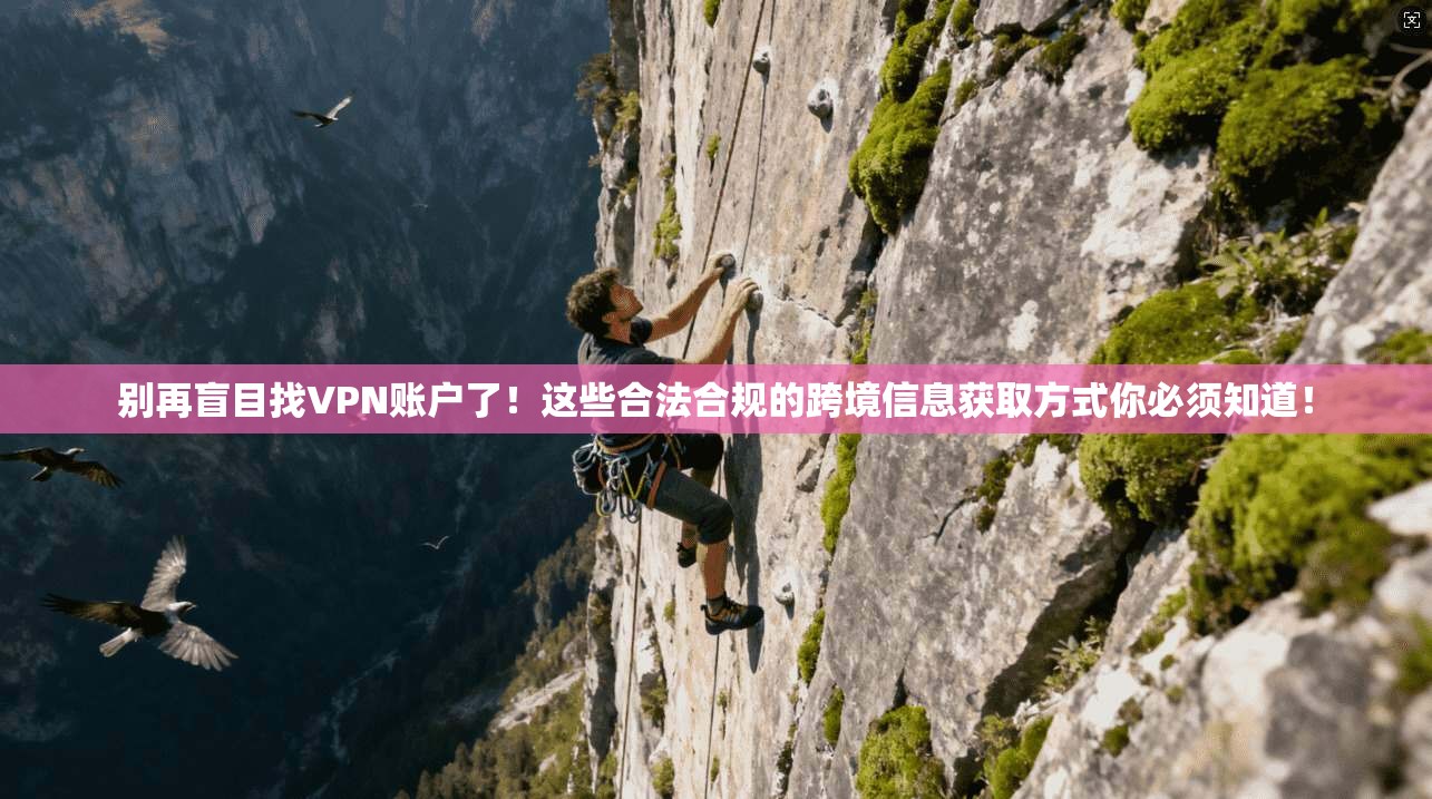 别再盲目找VPN账户了！这些合法合规的跨境信息获取方式你必须知道！