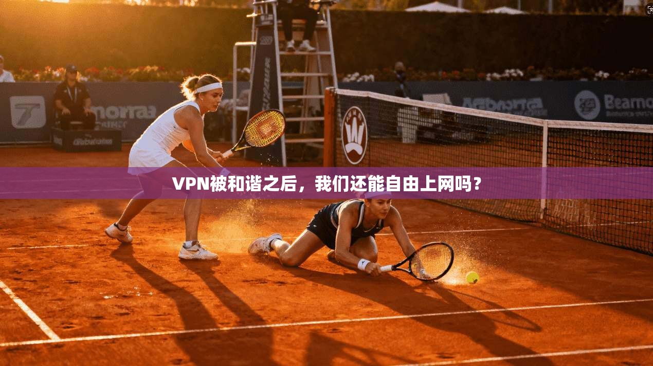 VPN被和谐之后,我们还能自由上网吗? VPN被和谐之后,我们还能自由上网吗?