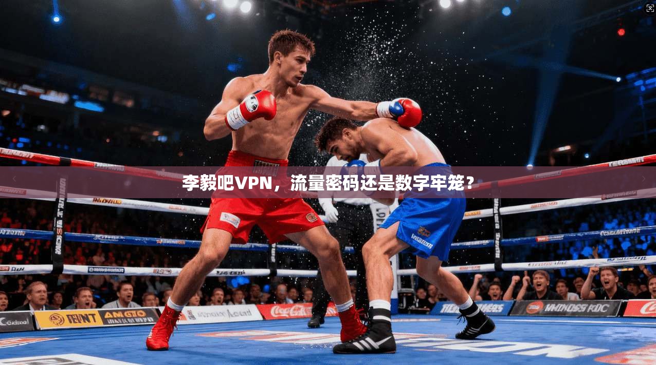 李毅吧VPN，流量密码还是数字牢笼？