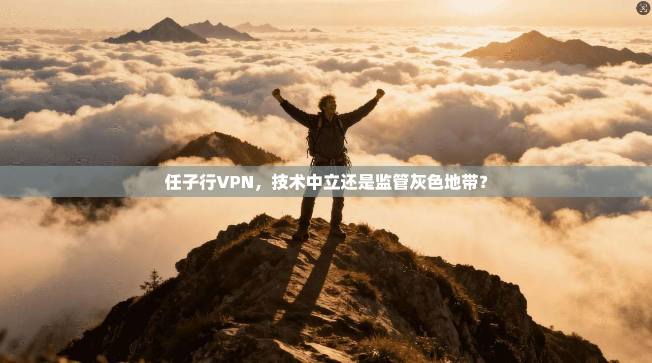 任子行VPN，技术中立还是监管灰色地带？