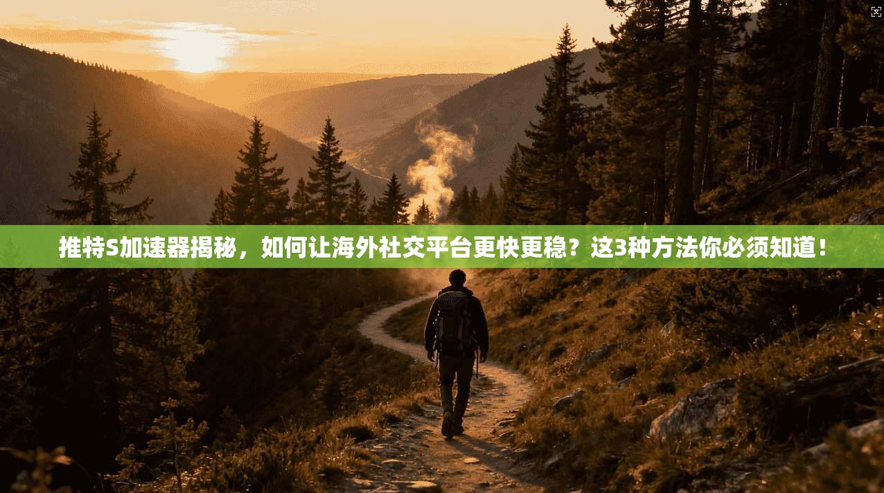 推特S加速器揭秘，如何让海外社交平台更快更稳？这3种方法你必须知道！
