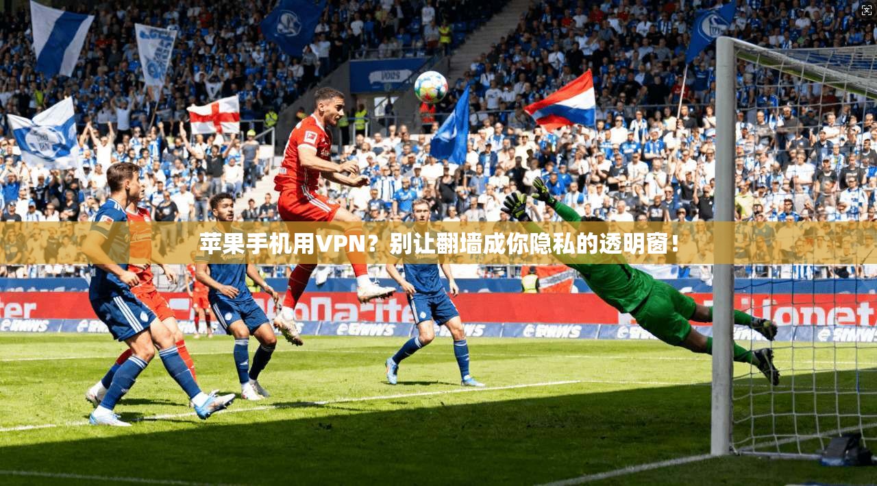 苹果手机用VPN?别让翻墙成你隐私的透明窗! 苹果手机用VPN?别让翻墙成你隐私的透明窗!