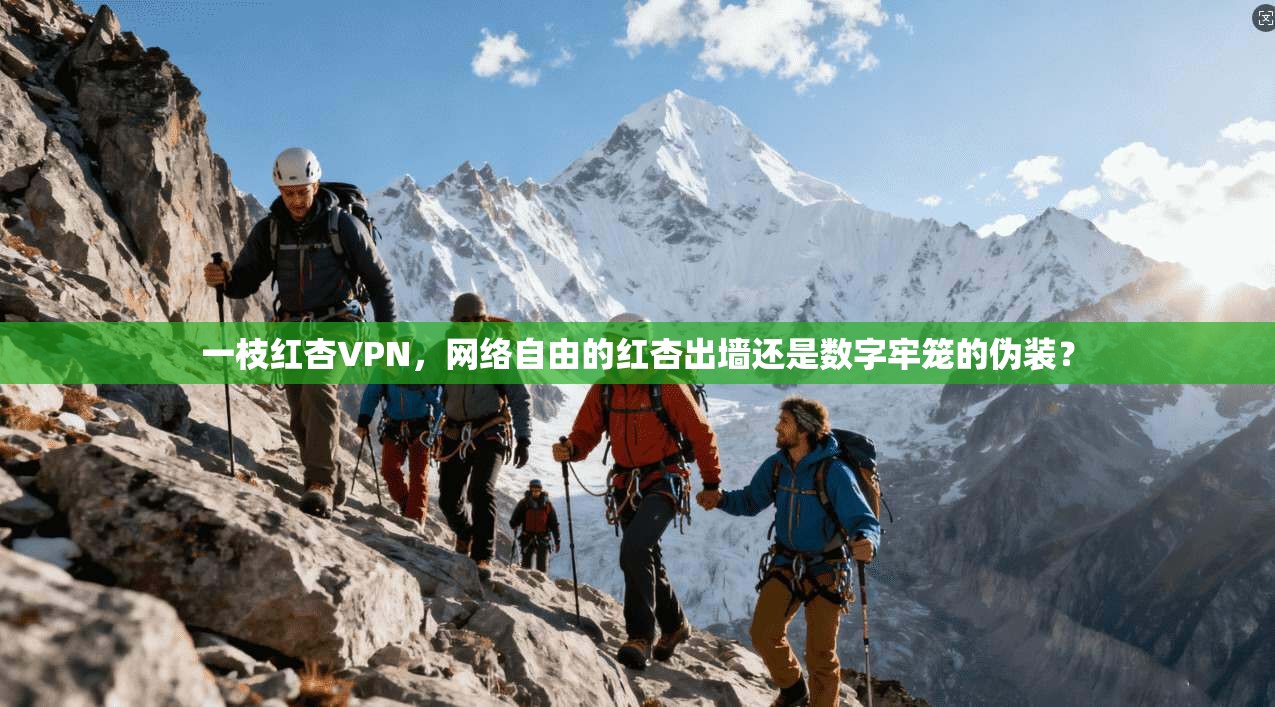 一枝红杏VPN,网络自由的红杏出墙还是数字牢笼的伪装?
