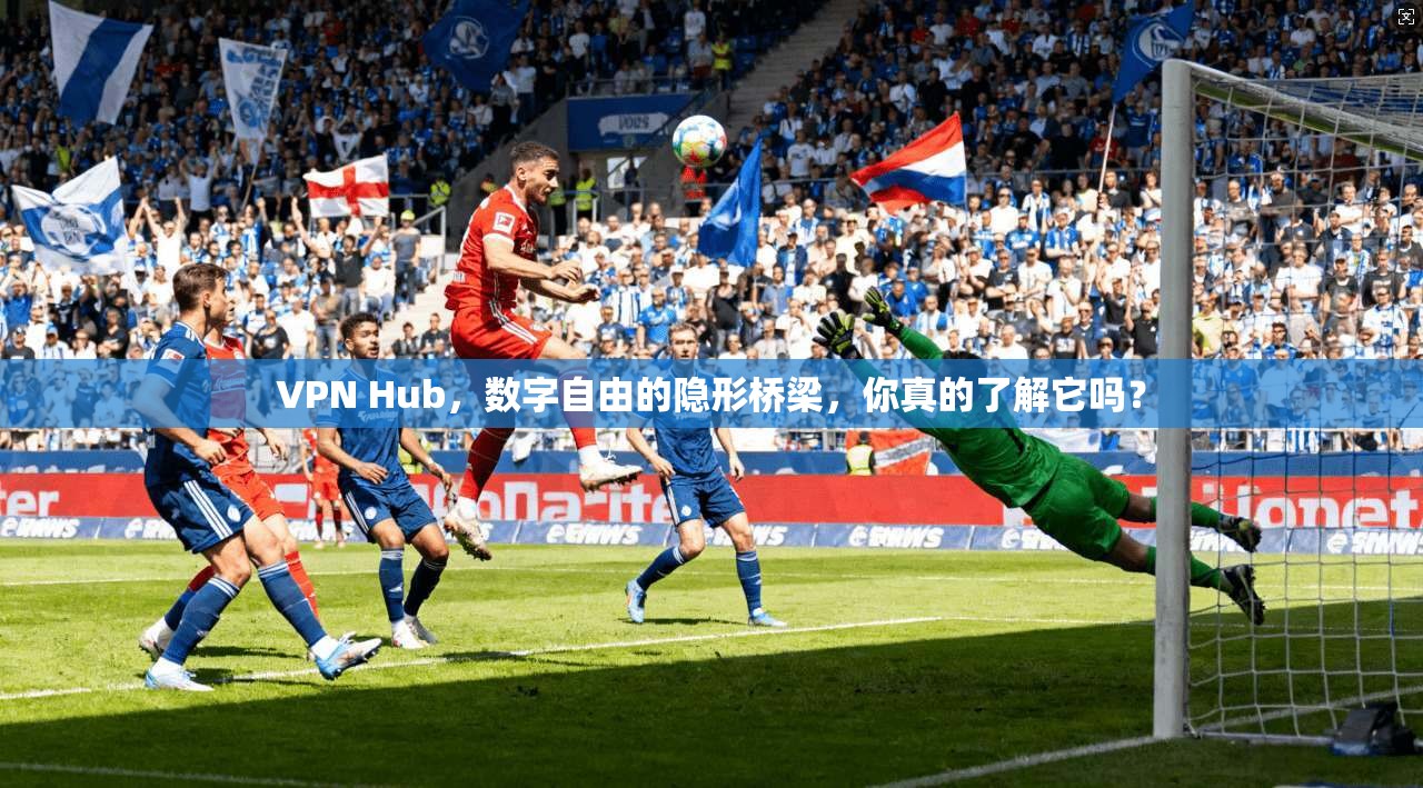 VPN Hub，数字自由的隐形桥梁，你真的了解它吗？