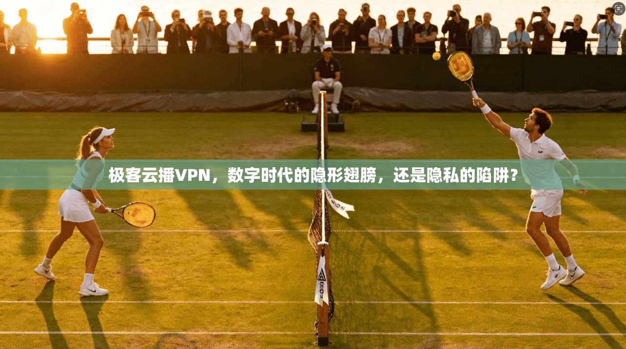 极客云播VPN，数字时代的隐形翅膀，还是隐私的陷阱？