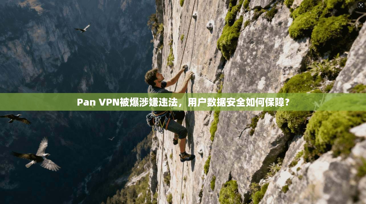 Pan VPN被爆涉嫌违法，用户数据安全如何保障？