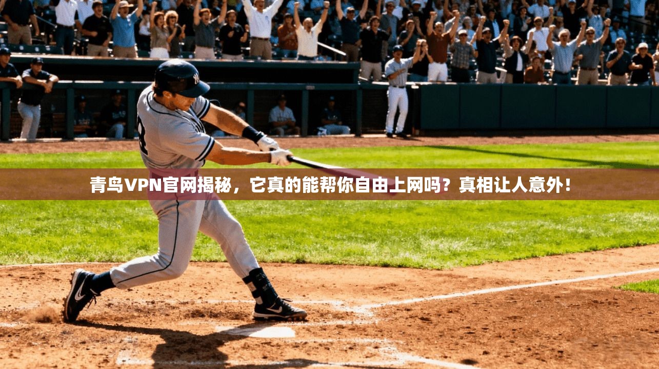 青鸟VPN官网揭秘，它真的能帮你自由上网吗？真相让人意外！