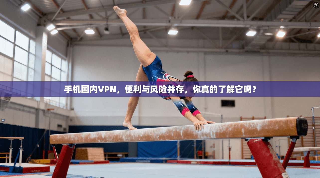 手机国内VPN,便利与风险并存,你真的了解它吗?