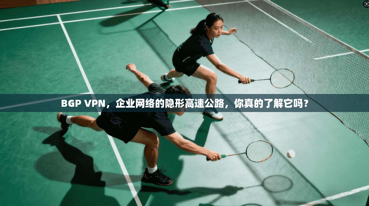 BGP VPN，企业网络的隐形高速公路，你真的了解它吗？