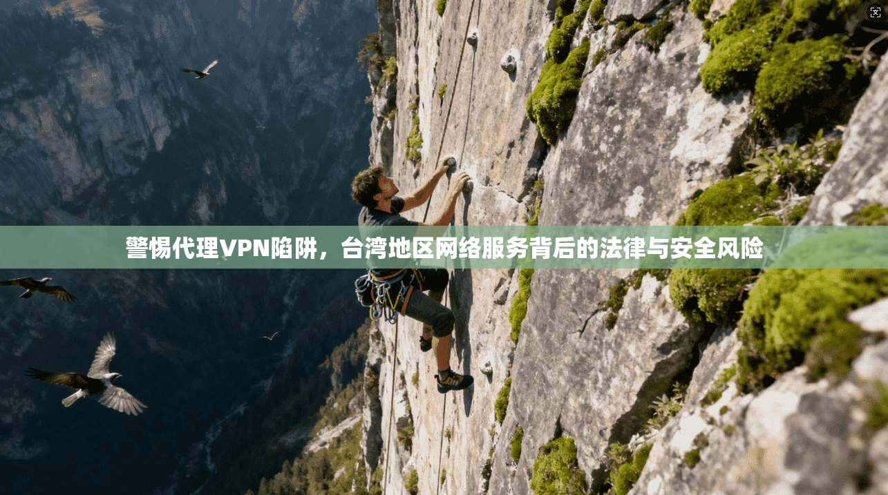 警惕代理VPN陷阱，台湾地区网络服务背后的法律与安全风险
