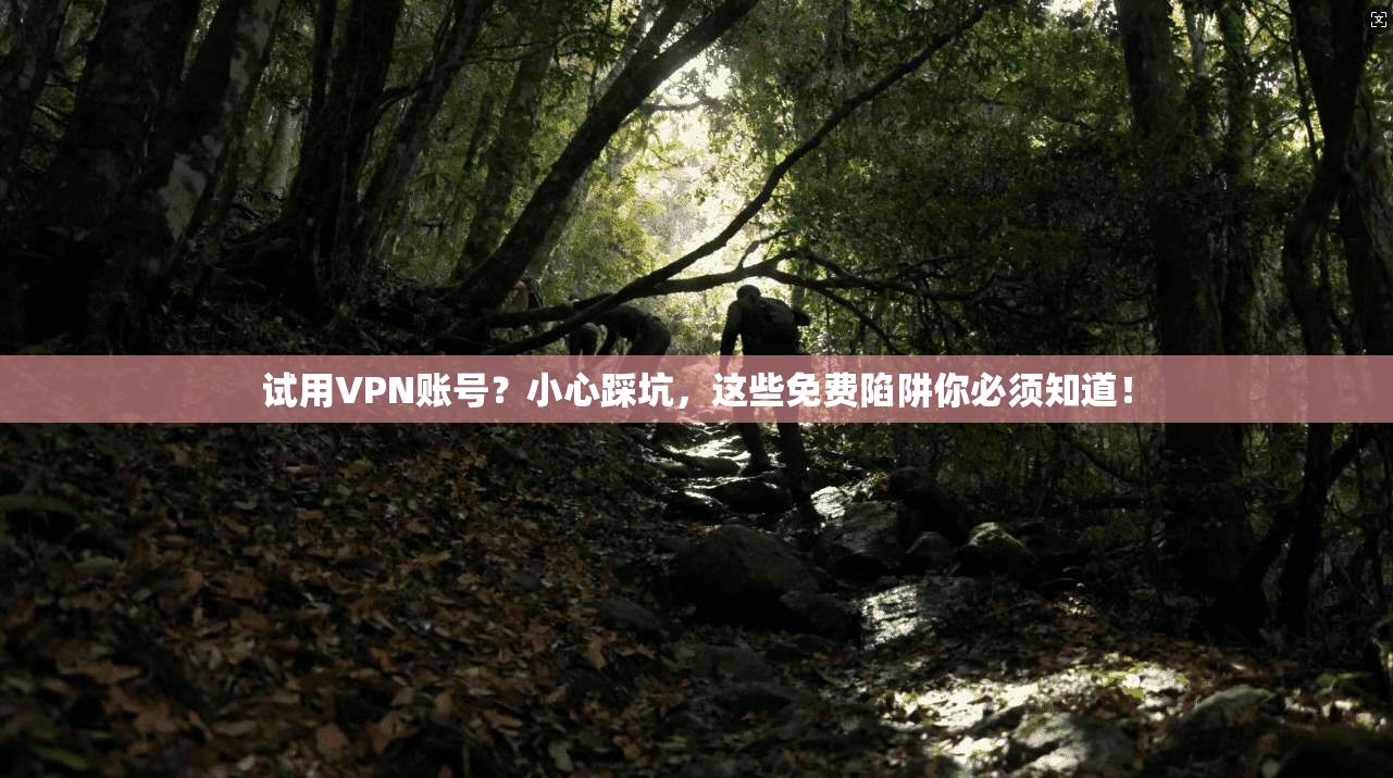试用VPN账号？小心踩坑，这些免费陷阱你必须知道！