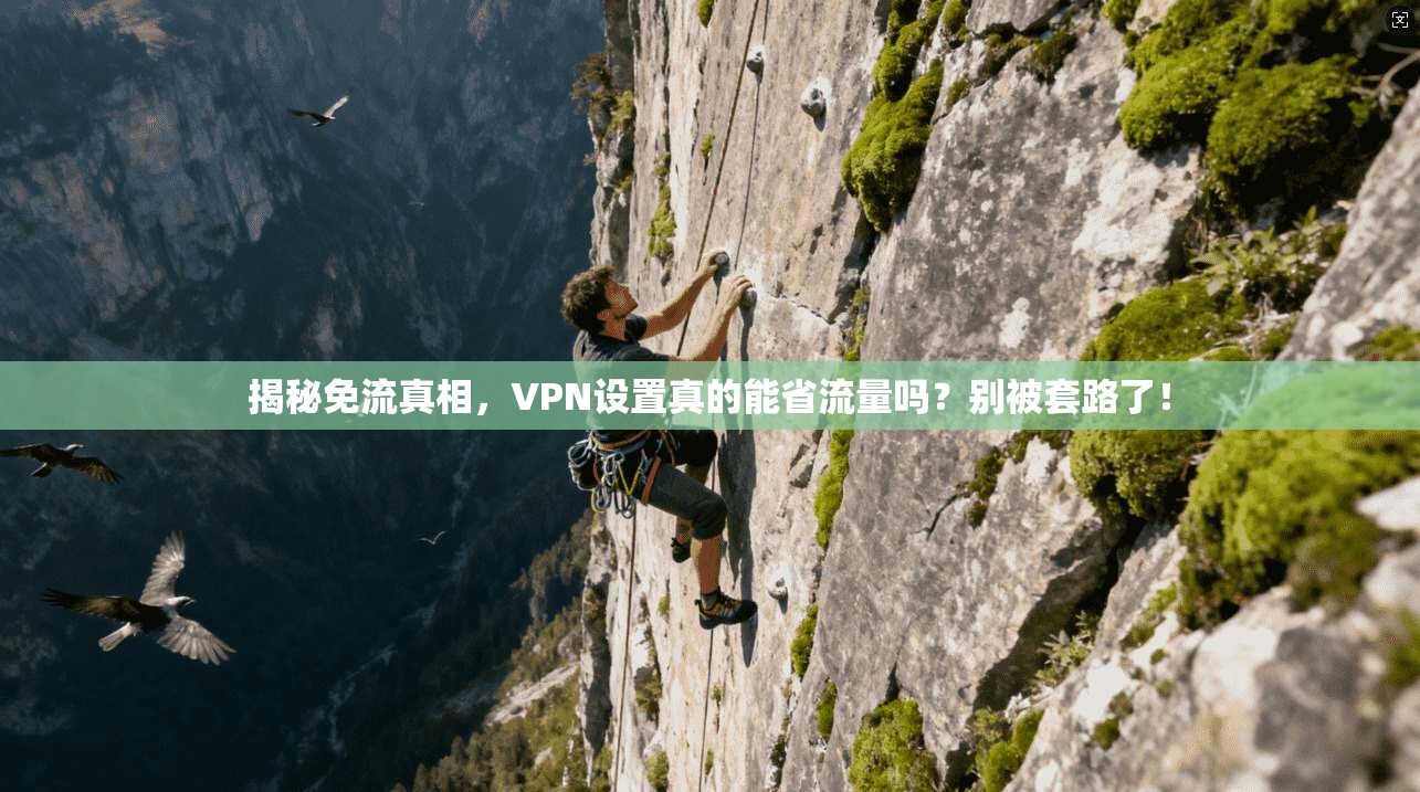 揭秘免流真相，VPN设置真的能省流量吗？别被套路了！