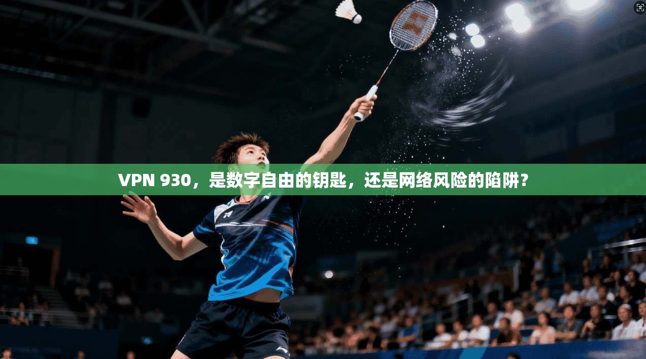 VPN 930，是数字自由的钥匙，还是网络风险的陷阱？