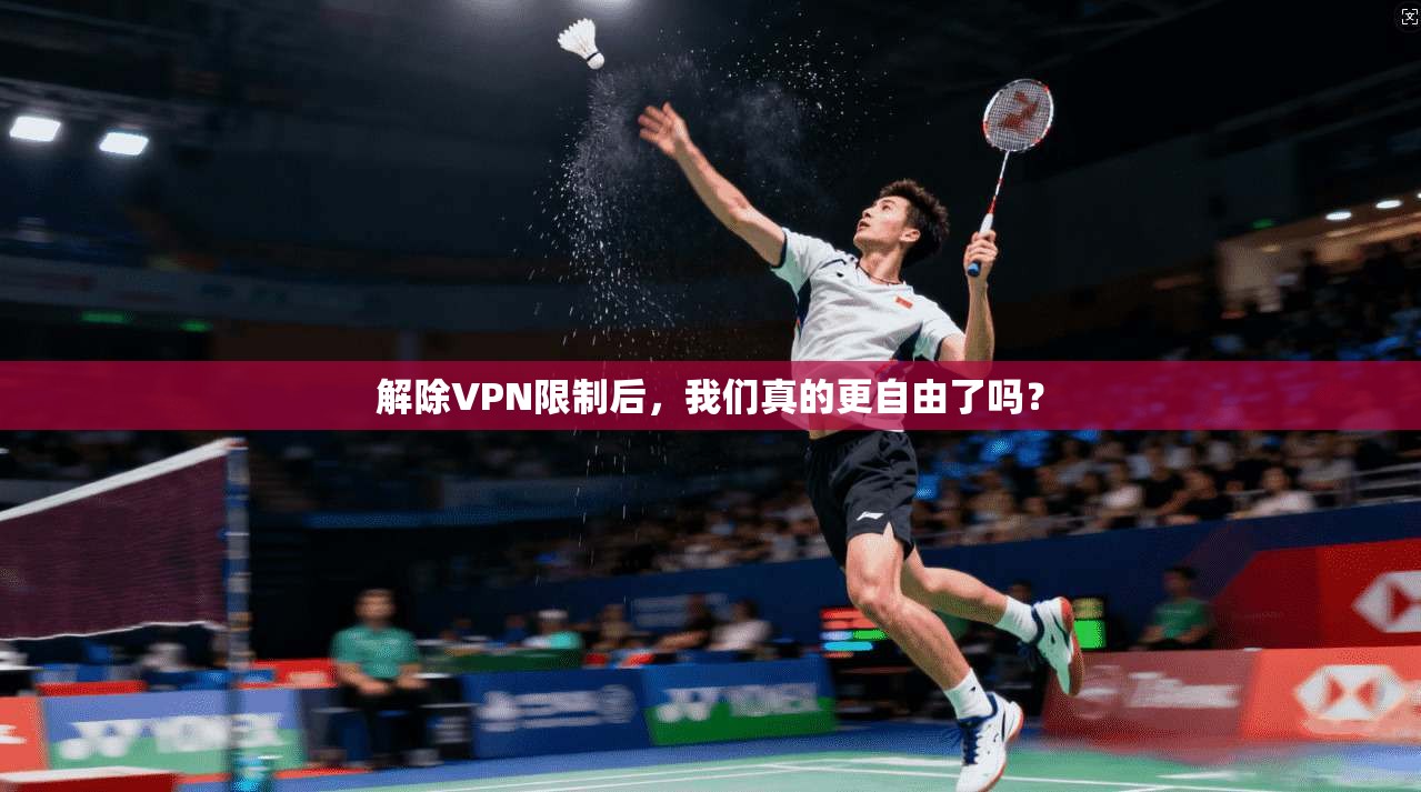 解除VPN限制后，我们真的更自由了吗？