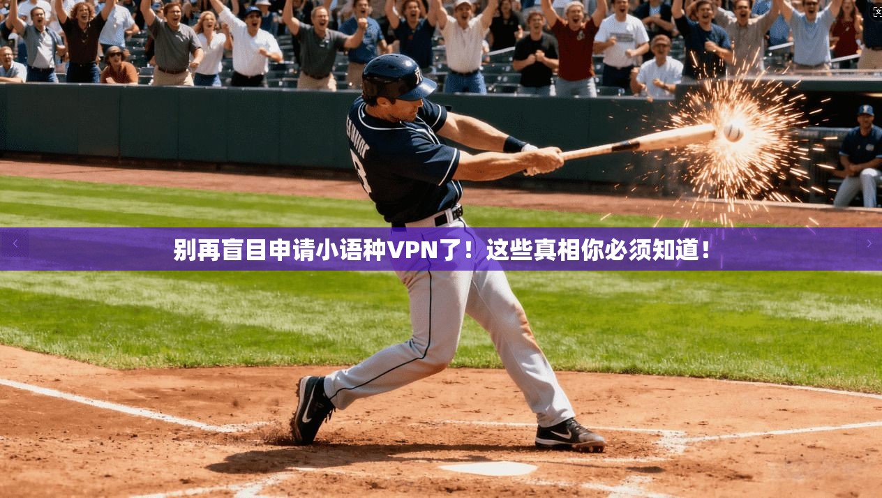 别再盲目申请小语种VPN了！这些真相你必须知道！
