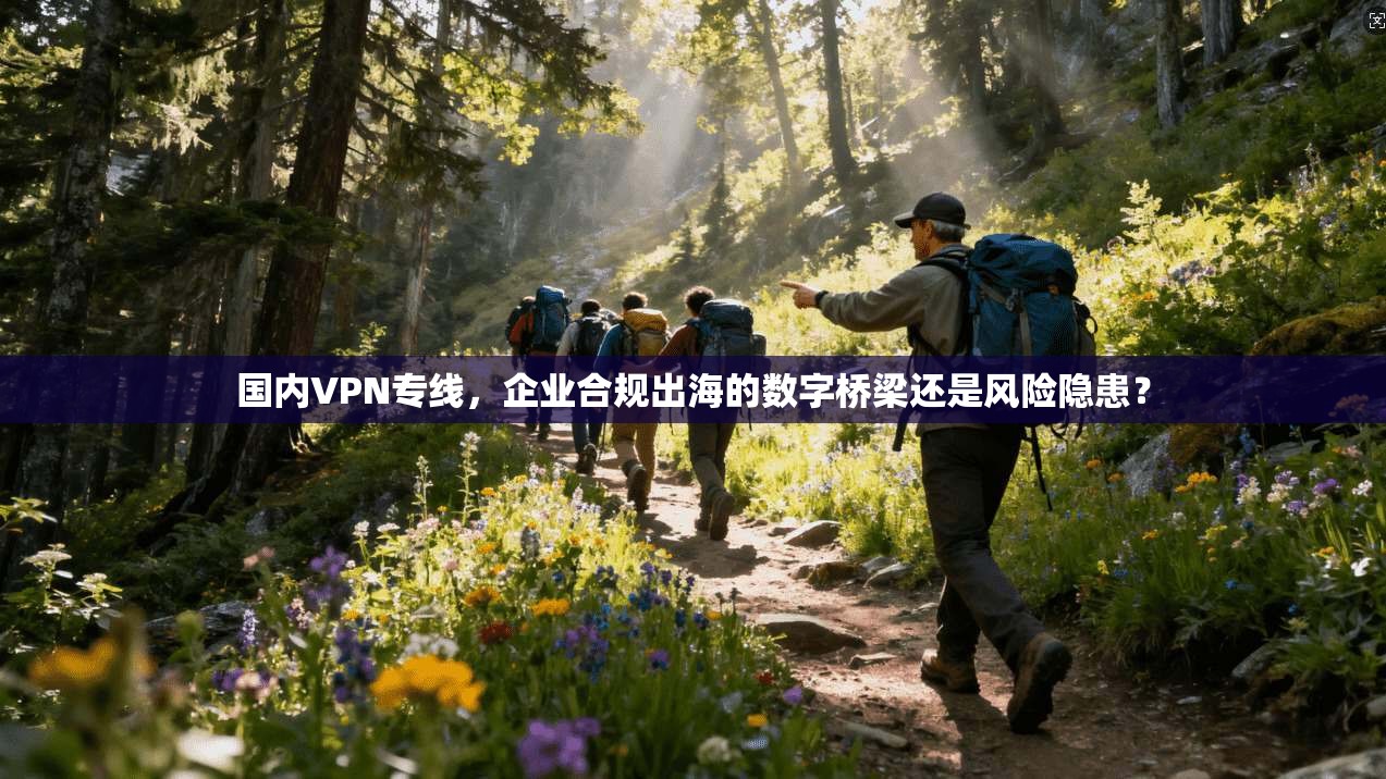 国内VPN专线，企业合规出海的数字桥梁还是风险隐患？