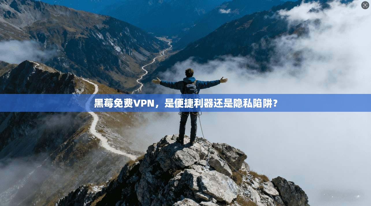 黑莓免费VPN，是便捷利器还是隐私陷阱？