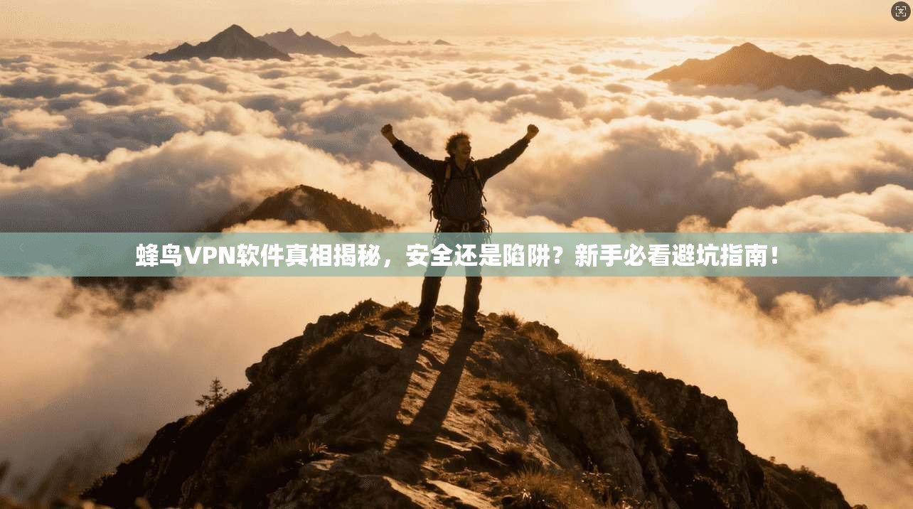 蜂鸟VPN软件真相揭秘,安全还是陷阱?新手必看避坑指南!