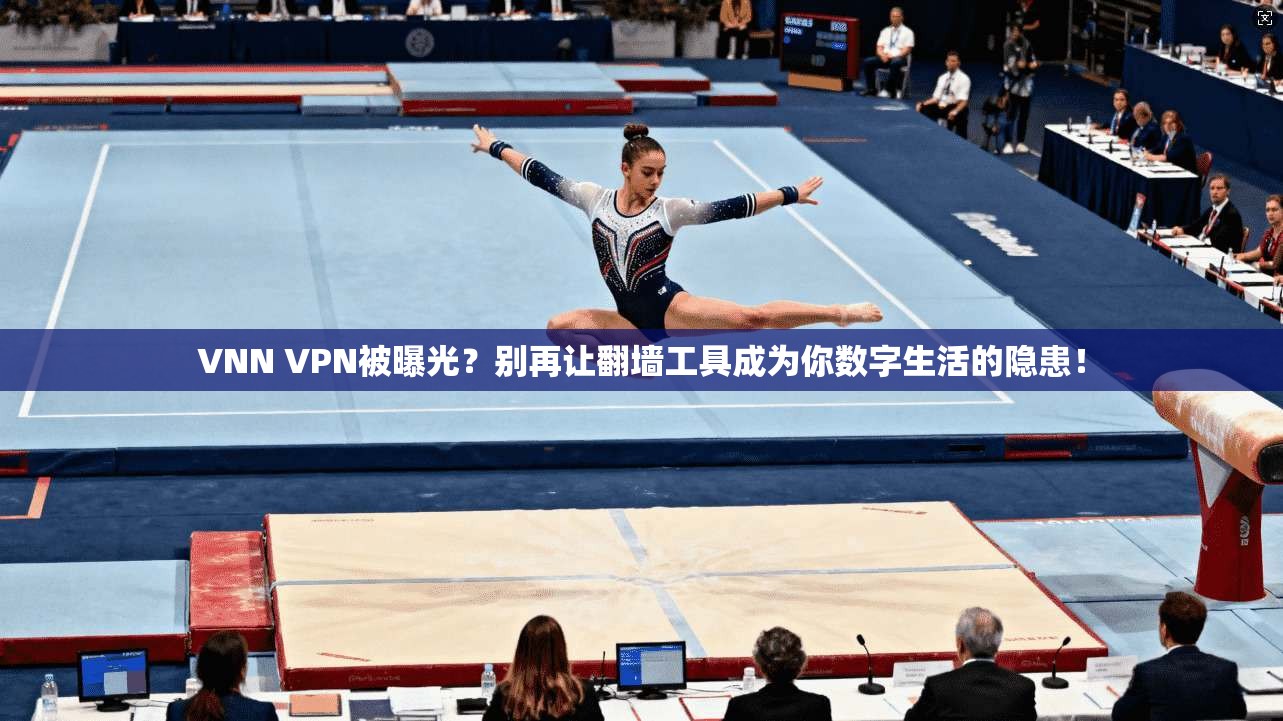 VNN VPN被曝光？别再让翻墙工具成为你数字生活的隐患！