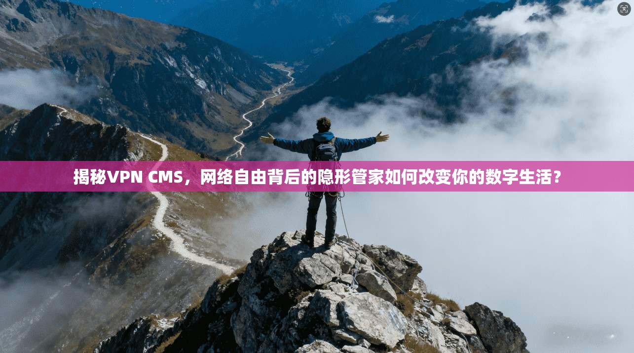 揭秘VPN CMS，网络自由背后的隐形管家如何改变你的数字生活？
