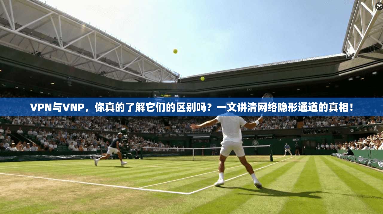VPN与VNP，你真的了解它们的区别吗？一文讲清网络隐形通道的真相！